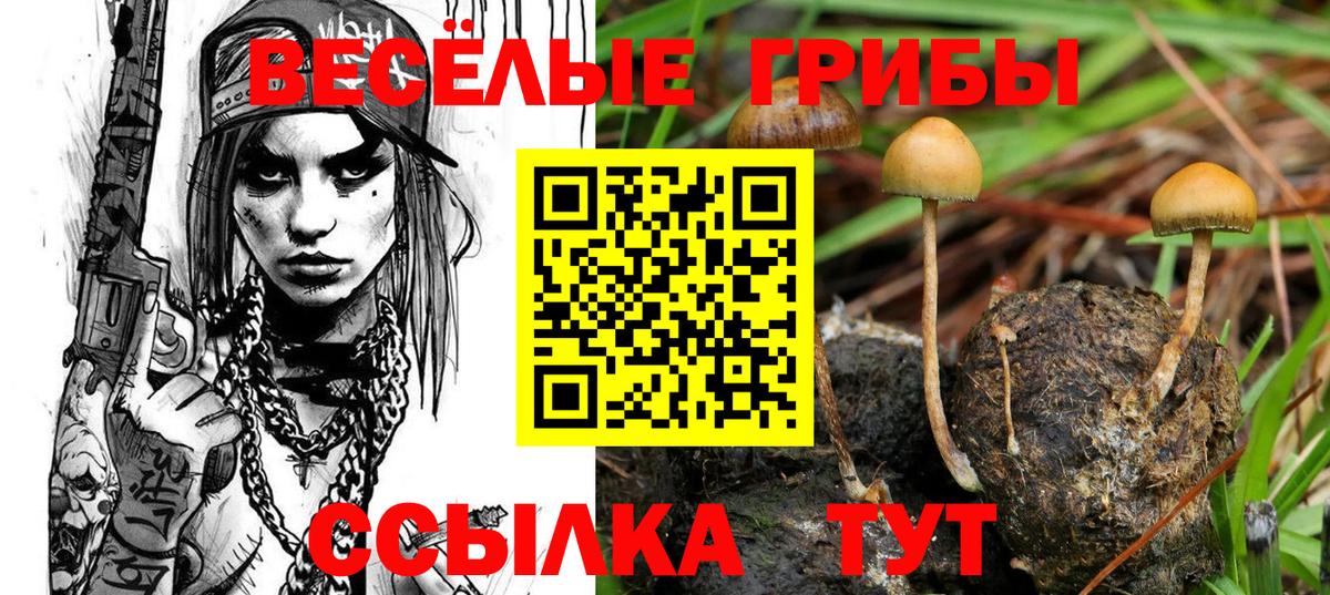 цены   Галлюциногенные грибы ЛСД  Вход с VPN  Верхняя Салда 