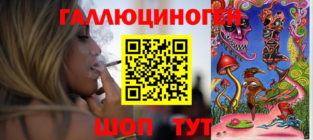 Псилоцибиновые грибы Psilocybe Верхняя Салда